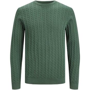 Kleidung Herren Pullover Jack & Jones  Grün