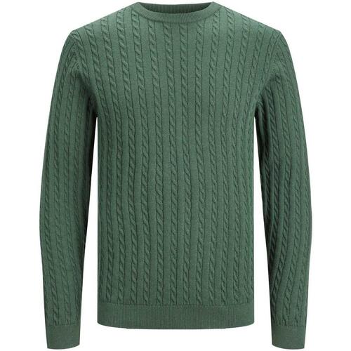 Kleidung Herren Pullover Jack & Jones  Grün