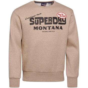 Kleidung Herren Sweatshirts Superdry  Beige