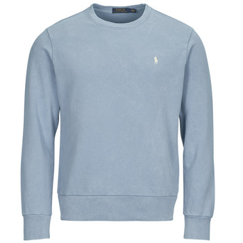 Kleidung Herren Sweatshirts Polo Ralph Lauren SWEATSHIRT COL ROND EN MOLLETON Blau / Himmelsfarbe / Channelblue