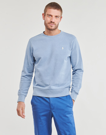 Kleidung Herren Sweatshirts Polo Ralph Lauren SWEATSHIRT COL ROND EN MOLLETON Blau / Himmelsfarbe / Channelblue