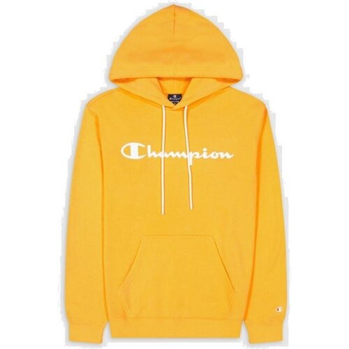 Kleidung Herren Pullover Champion Sport Hooded Sweatshirt 218528S23 Orange