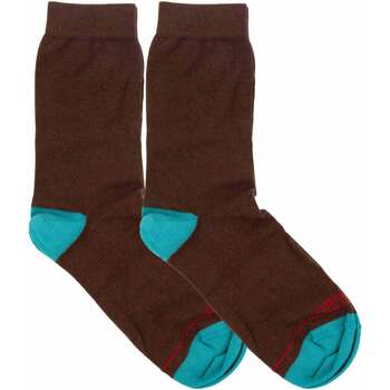 Unterwäsche Damen Socken & Strümpfe Panchic PASP005-0061Y001-MARRONE Braun