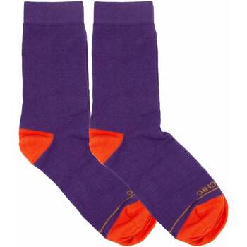 Unterwäsche Damen Socken & Strümpfe Panchic PASP005-0061Y001-VIOLA Violett