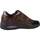 Schuhe Damen Derby-Schuhe & Richelieu Stonefly AURORA 22 VELOUR Braun