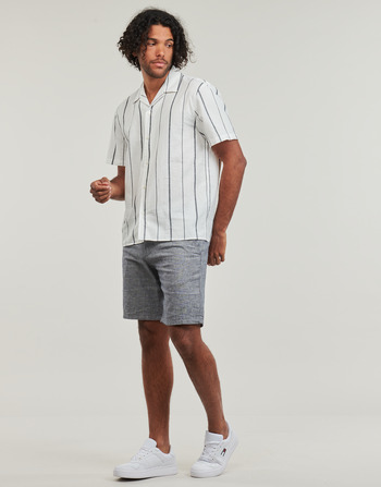 Selected SLHRELAXNEW-LINEN Blau / Weiss