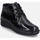 Schuhe Damen Derby-Schuhe & Richelieu Westland Calais 88, schwarz Schwarz