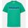 Kleidung Herren T-Shirts & Poloshirts Timberland TB0A6SE1 SS EST. 1973 CREW TEE-ED3 CELTIC GREEN Grün