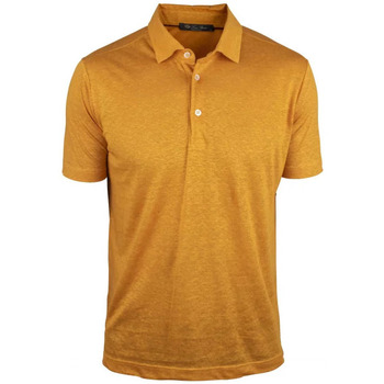 Kleidung Herren T-Shirts & Poloshirts Loro Piana  Gold