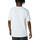 Kleidung Herren T-Shirts & Poloshirts Converse 10023905-A03 Weiss