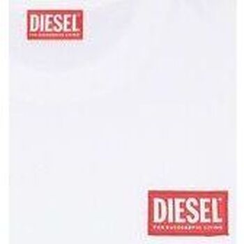 Kleidung Herren T-Shirts & Poloshirts Diesel A11593 0NIAR T-NLABEL-L1-100 Weiss