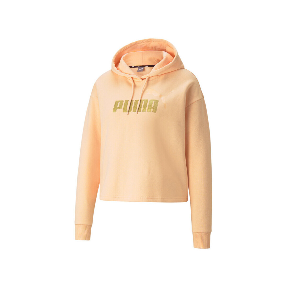 Kleidung Damen Sweatshirts Puma 586891-27 Rosa