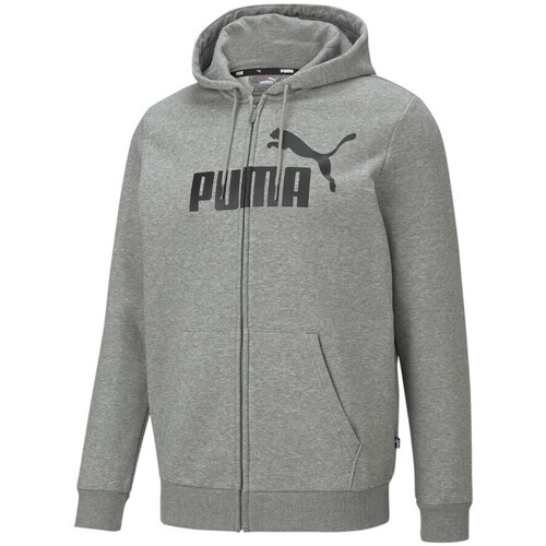 Kleidung Herren Sweatshirts Puma 586698-03 Grau