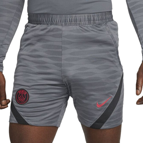 Kleidung Herren Shorts / Bermudas Nike DB6939-025 Grau