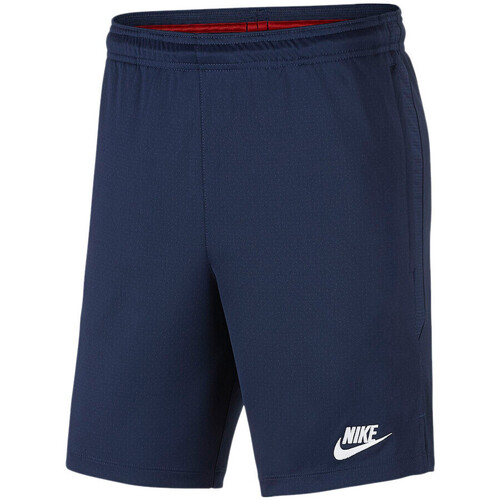 Kleidung Herren Shorts / Bermudas Nike AO5292-410 Blau