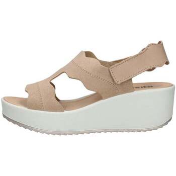 Schuhe Damen Sandalen / Sandaletten IgI&CO  