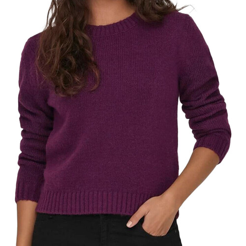 Kleidung Damen Pullover JDY 15277866 Violett
