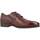 Schuhe Herren Derby-Schuhe & Richelieu Pitillos 112P Braun