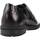 Schuhe Herren Derby-Schuhe & Richelieu Pitillos 4950P Schwarz