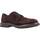 Schuhe Herren Derby-Schuhe & Richelieu Fluchos F0631 Braun