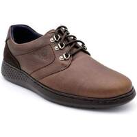 Schuhe Herren Sneaker Low Notton 2312 Braun