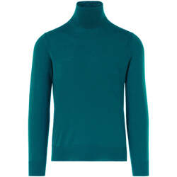 Kleidung Herren Pullover Paolo Pecora  Grün