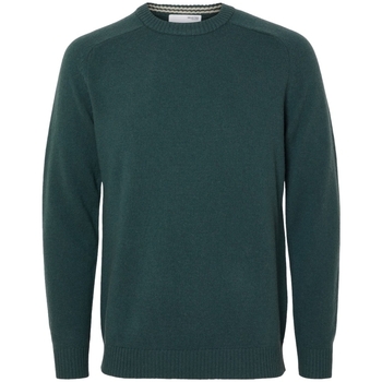 Kleidung Herren Pullover Selected Noos New Coban Knit - Green Gables/Kelp Grün