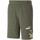 Kleidung Herren Shorts / Bermudas Puma 673340-73 Grün