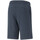 Kleidung Herren Shorts / Bermudas Puma 586766-15 Blau