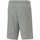 Kleidung Herren Shorts / Bermudas Puma 586766-03 Grau