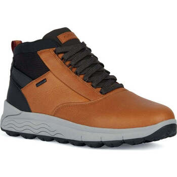 Schuhe Herren Boots Geox  Orange