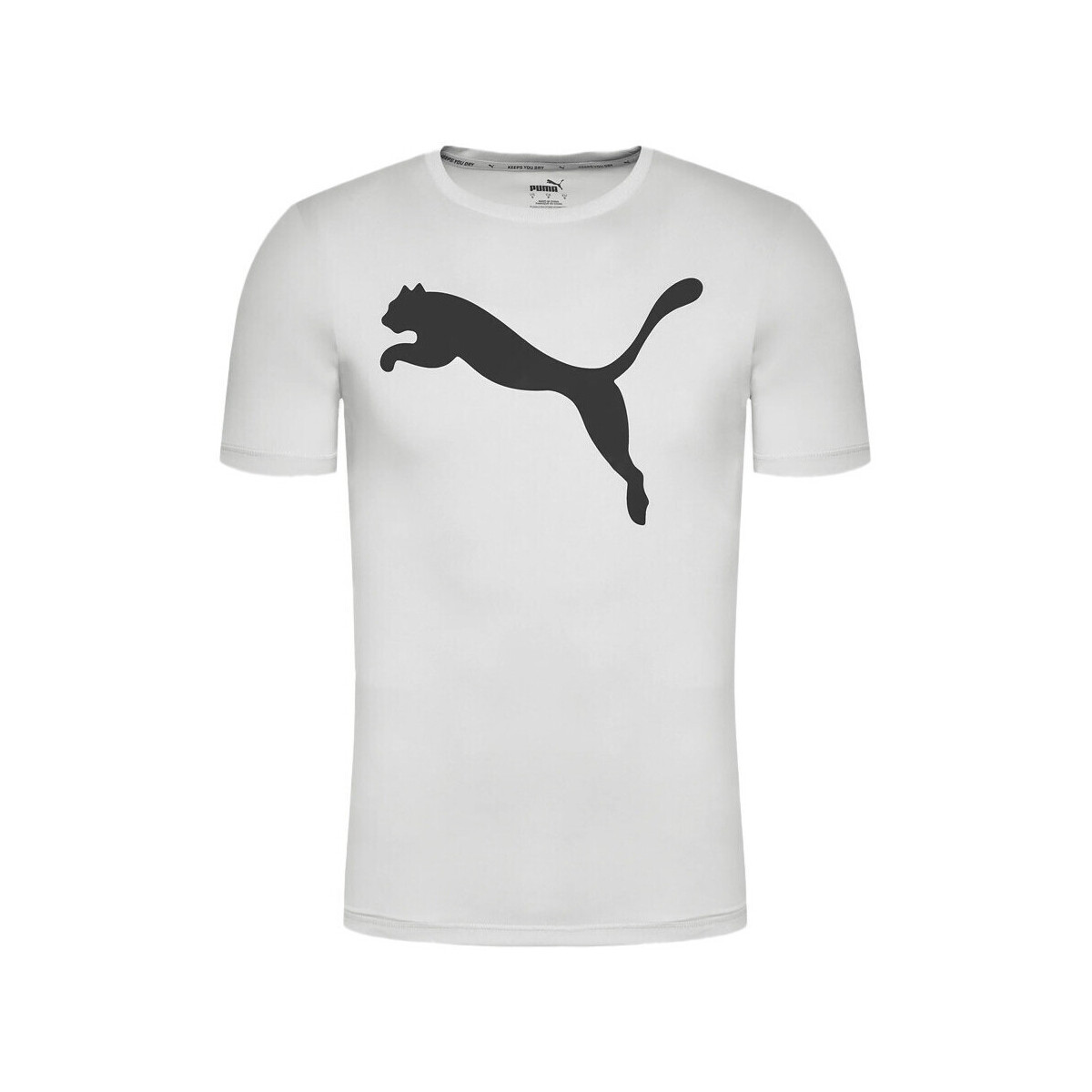 Kleidung Herren T-Shirts & Poloshirts Puma 586724-09 Grau
