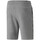 Kleidung Herren Shorts / Bermudas Puma 847387-03 Grau