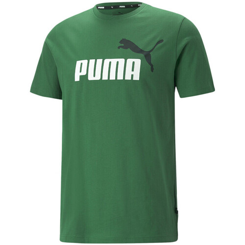 Kleidung Herren T-Shirts & Poloshirts Puma 586759-37 Grün