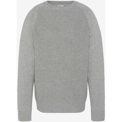 Kleidung Herren Pullover Schott PLALI2 Grau