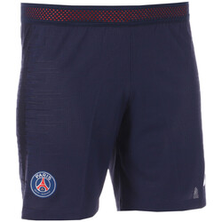 Kleidung Herren Shorts / Bermudas Nike 915137-410 Blau