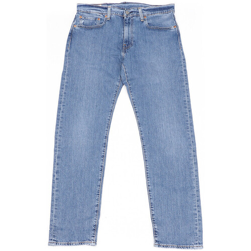 Kleidung Herren Straight Leg Jeans Levi's 29507-1287 Blau