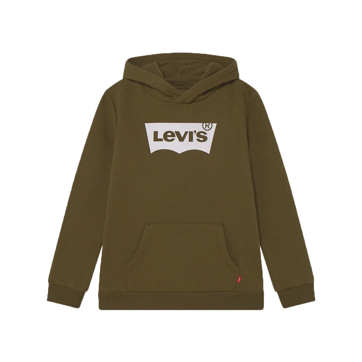 Kleidung Jungen Sweatshirts Levi's 9E8778-E1F Grün
