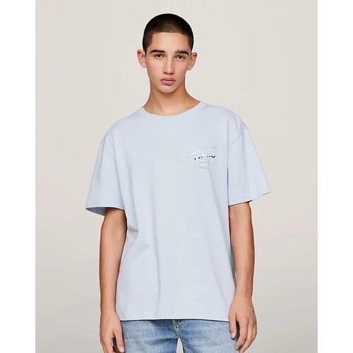 Kleidung Herren T-Shirts Tommy Hilfiger DM0DM18283C1O Blau