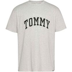Kleidung Herren T-Shirts Tommy Jeans  Grau