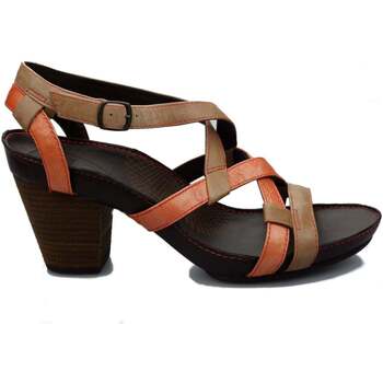 Schuhe Damen Sandalen / Sandaletten Clarks PawPaw Multicolor