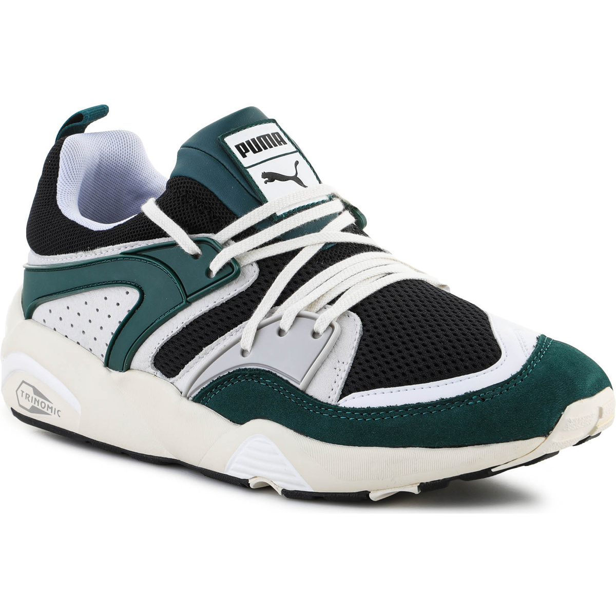 Schuhe Herren Sneaker Low Puma Blaze Of Glory PRM  Black / Varsity Green 387575-02 Multicolor