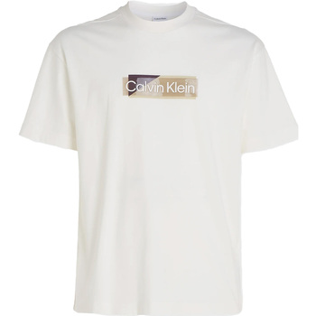 Kleidung Herren T-Shirts & Poloshirts Calvin Klein Jeans Layered Gel Logo T-S Weiss