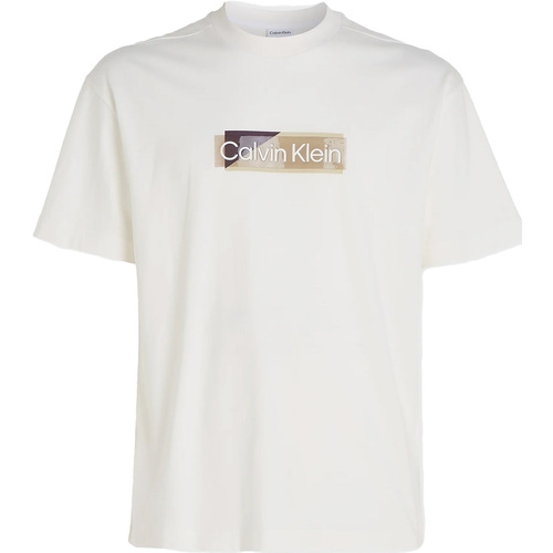 Kleidung Herren T-Shirts & Poloshirts Calvin Klein Jeans Layered Gel Logo T-S Weiss