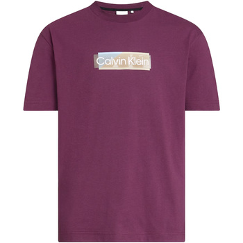 Calvin Klein Jeans  T-Shirts & Poloshirts Layered Gel Logo T-Shirt