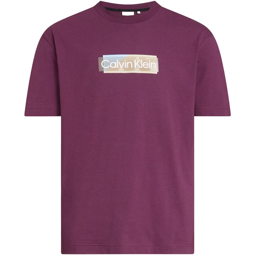 Kleidung Herren T-Shirts & Poloshirts Calvin Klein Jeans Layered Gel Logo T-Shirt Violett