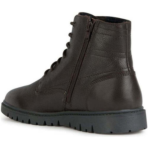 Geox  Braun