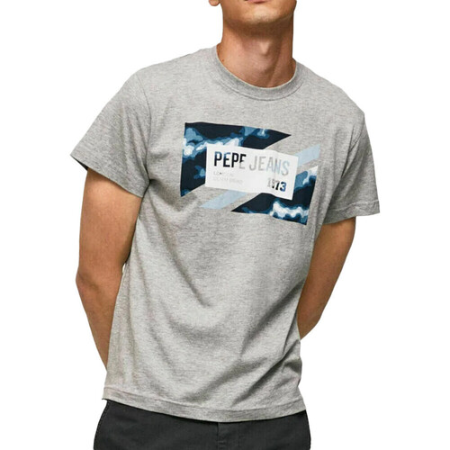 Kleidung Herren T-Shirts & Poloshirts Pepe jeans PM508685 Grau