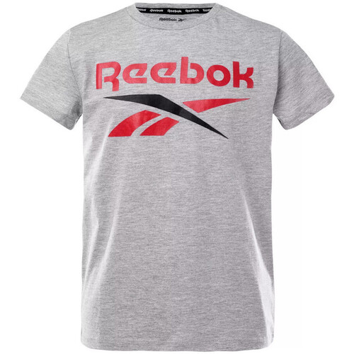 Kleidung Jungen T-Shirts & Poloshirts Reebok Sport H89462RBI Grau