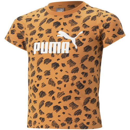 Kleidung Mädchen T-Shirts & Poloshirts Puma 674235-01 Orange